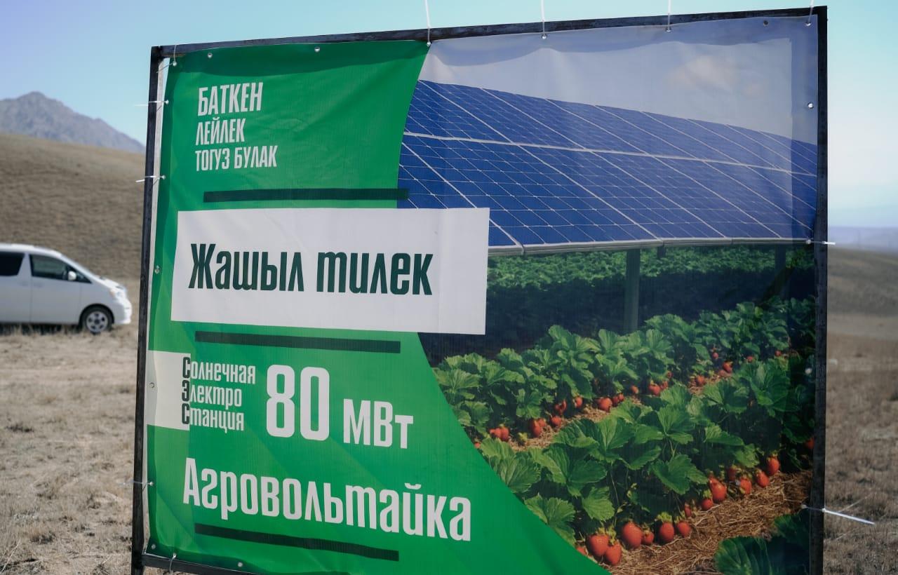 Күн панелдери астына клубника да өстүрөбүз. Баткенде уникалдуу "Агровольтайка" долбооруна старт берилди. 
&nbsp;