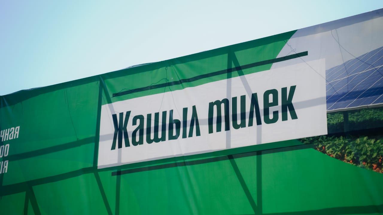 Күн панелдери астына клубника да өстүрөбүз. Баткенде уникалдуу "Агровольтайка" долбооруна старт берилди. 
&nbsp;