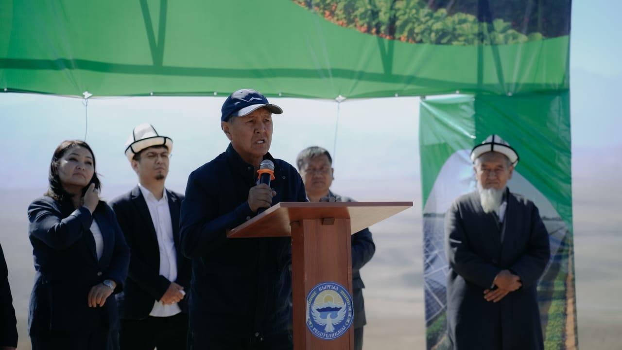 Күн панелдери астына клубника да өстүрөбүз. Баткенде уникалдуу "Агровольтайка" долбооруна старт берилди. 
&nbsp;